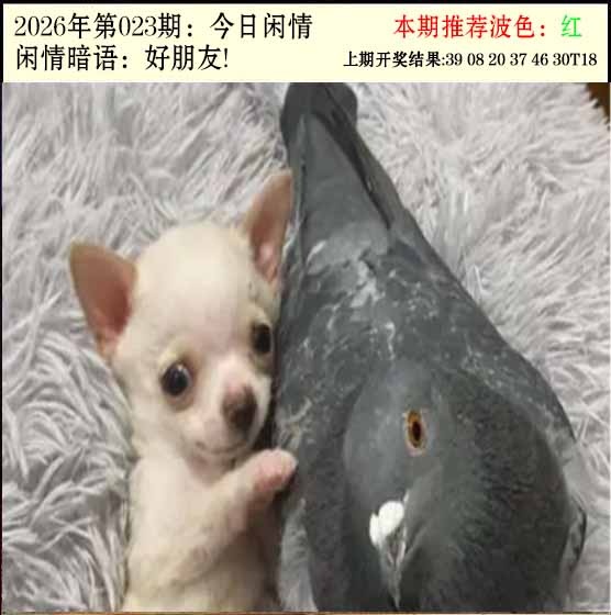 023期今日闲情2[图]