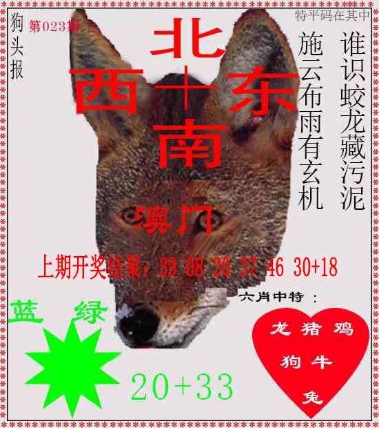 023期狗头报[图]