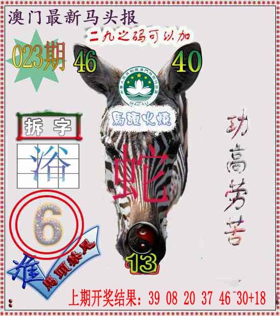 023期马头报[图]