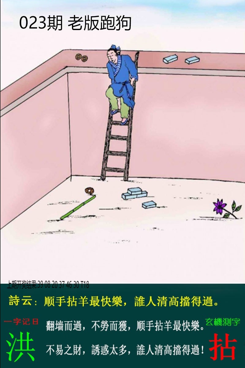 023期老板跑狗[图]