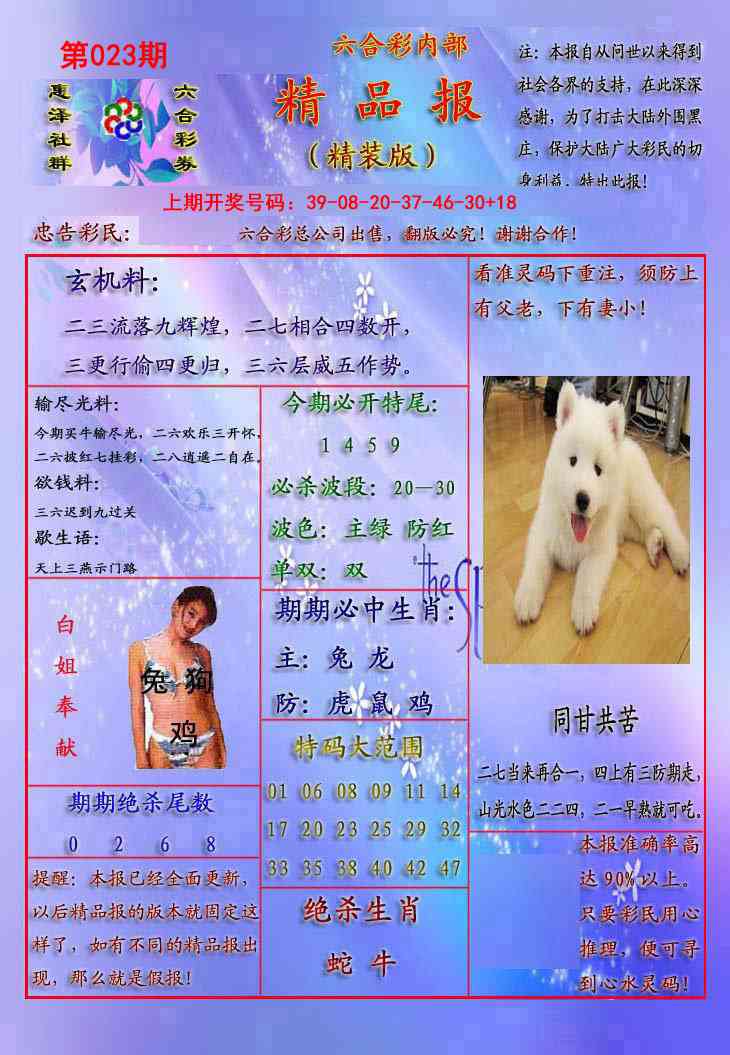 023期精品报[图]