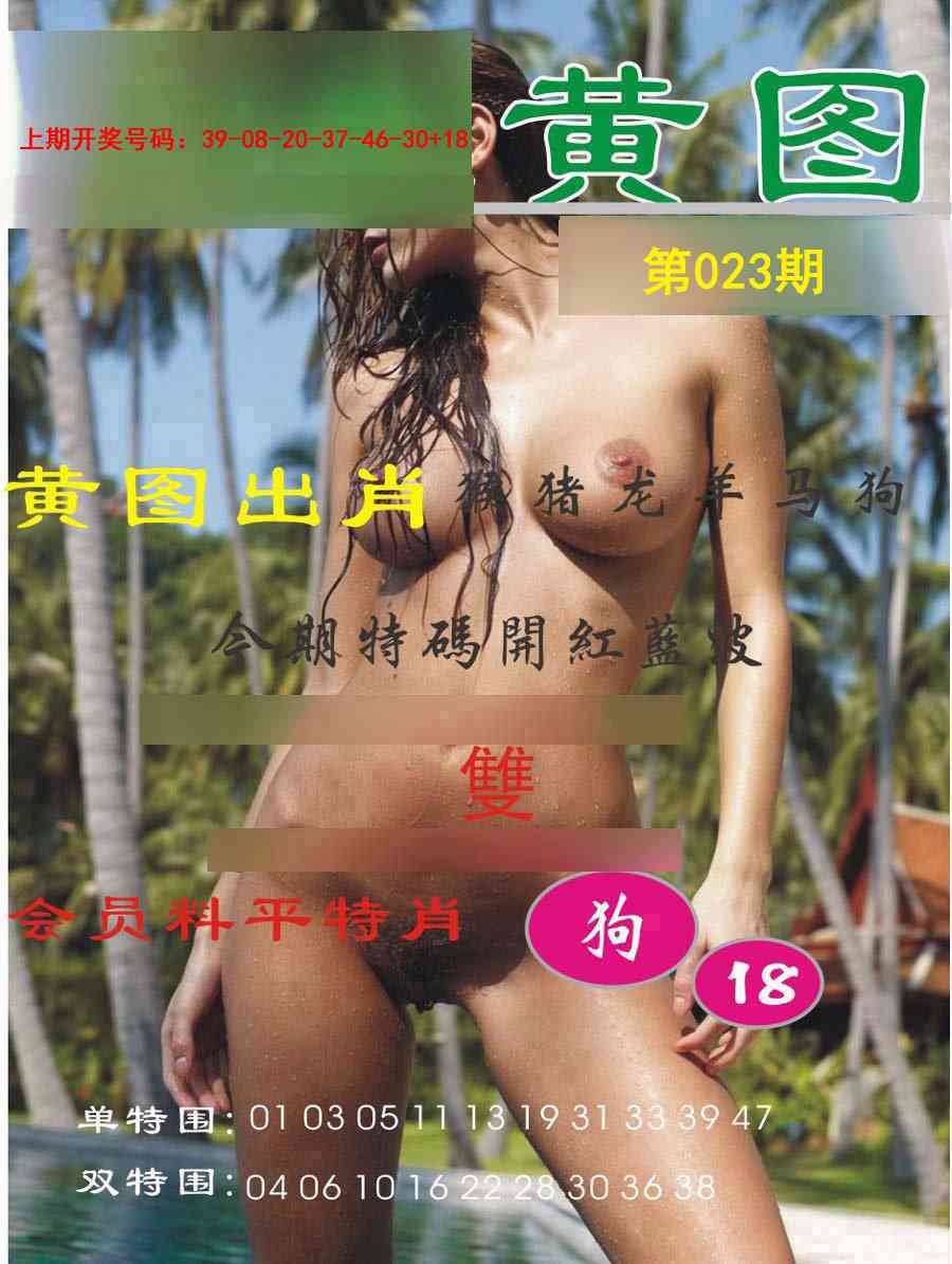 023期黄图[图]