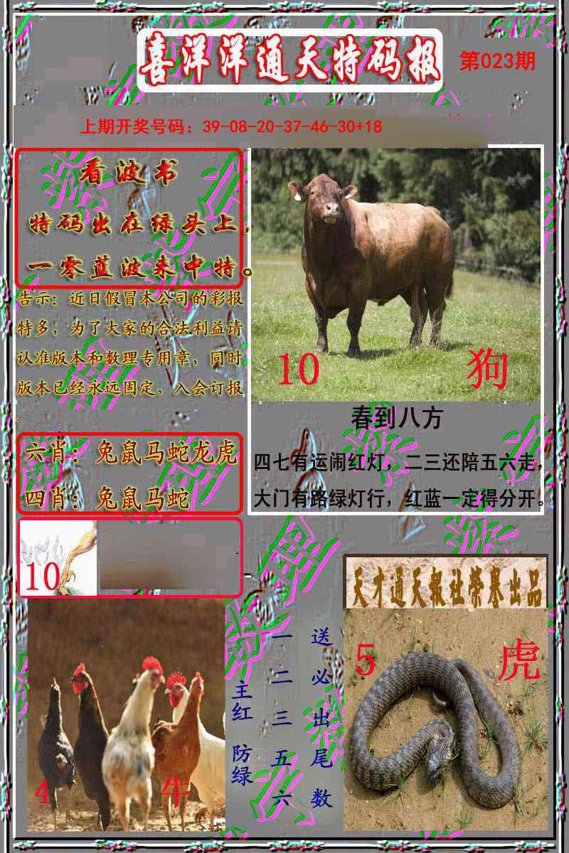 023期洋通报[图]