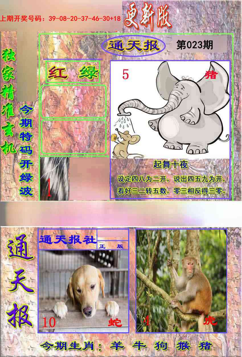 023期新通报[图]