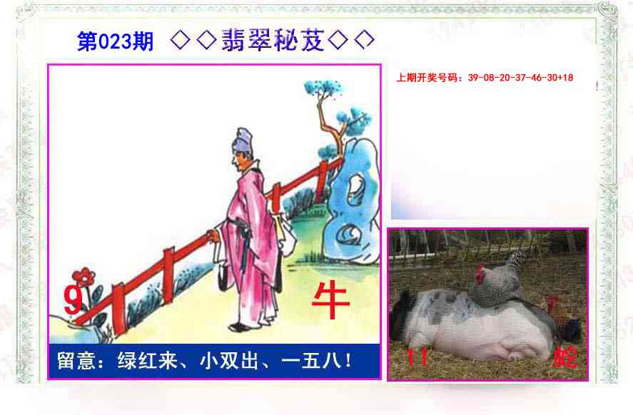 023期翡翠报[图]