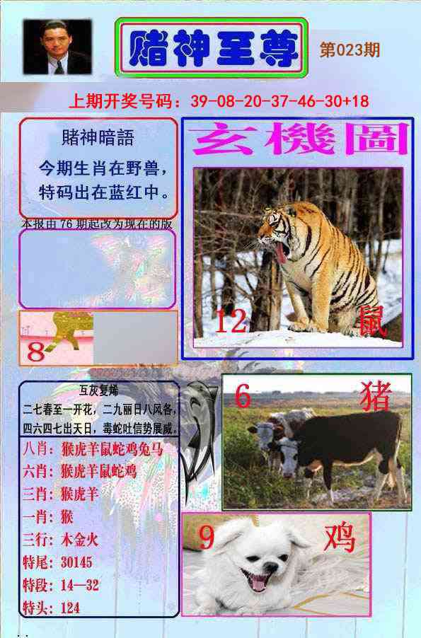 023期赌神至尊[图]