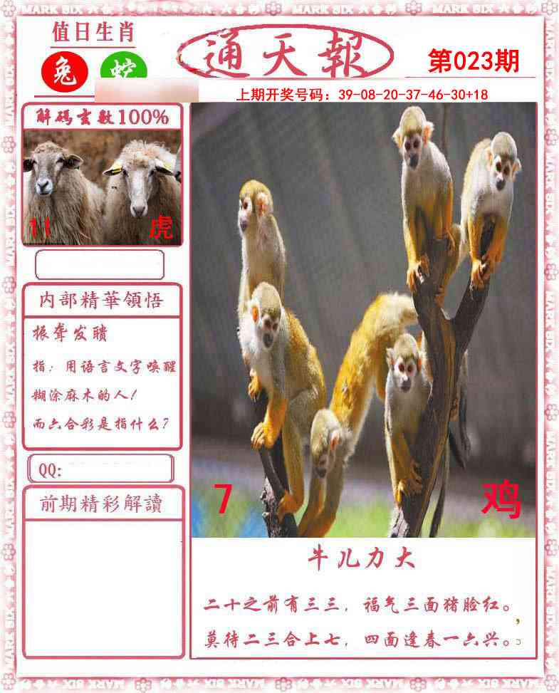023期正版通天报[图]