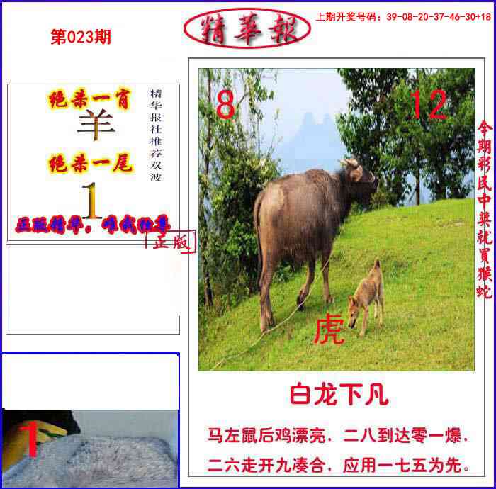 023期新精华报报[图]