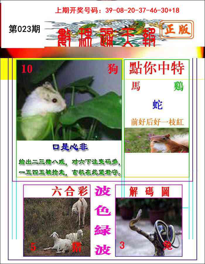 023期数理通天[图]