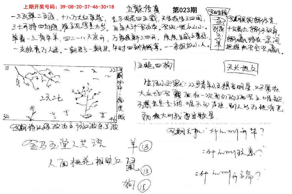 023期手写九龙内幕[图]