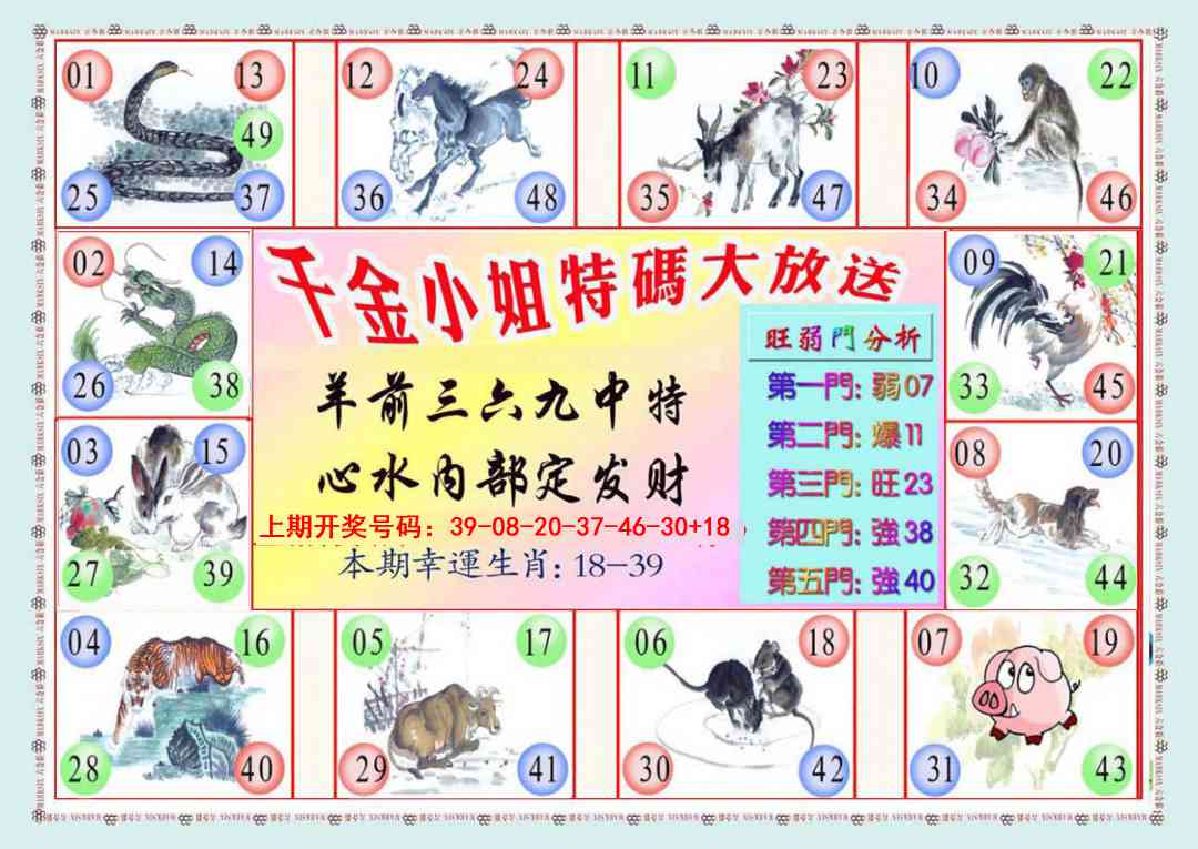 023期千金小姐B版[图]