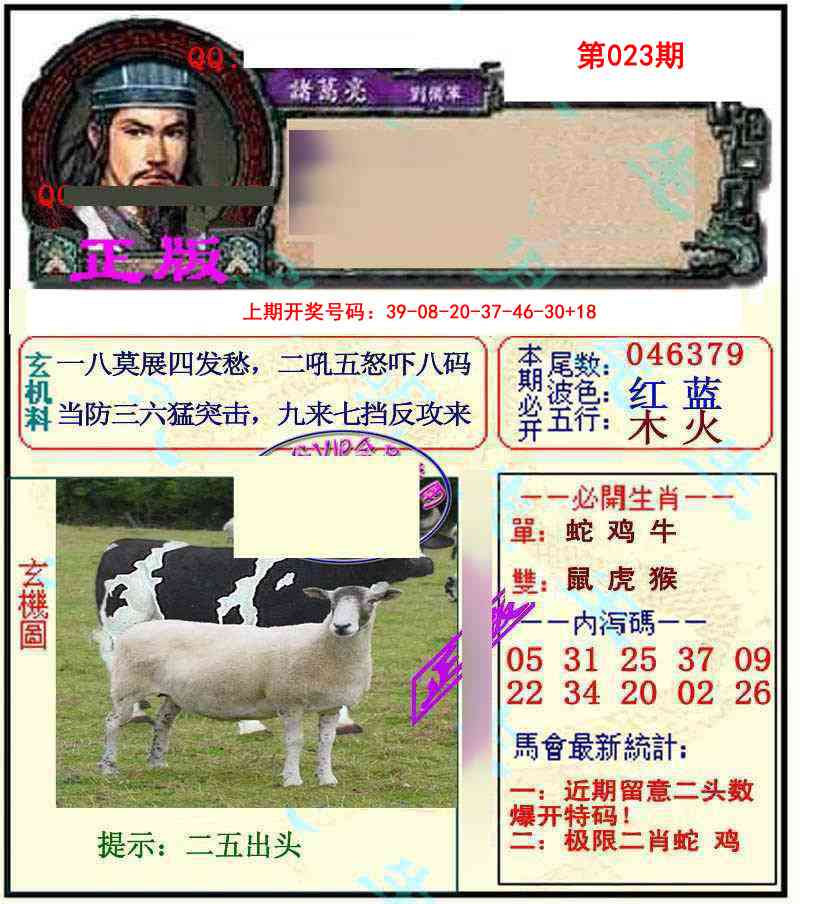 023期正宗孔明[图]