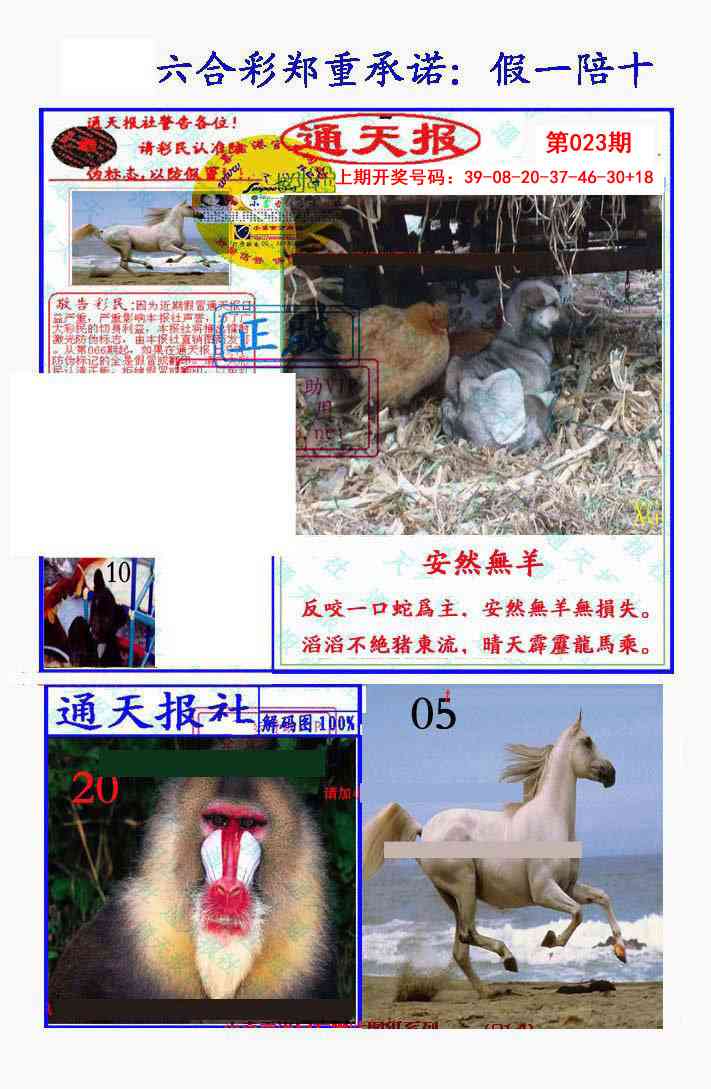 023期假一陪十通天报[图]