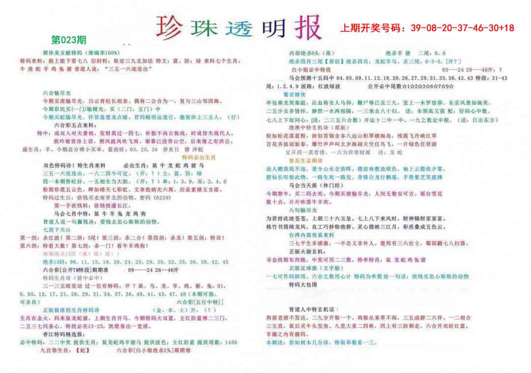 023期珍珠透明报[图]