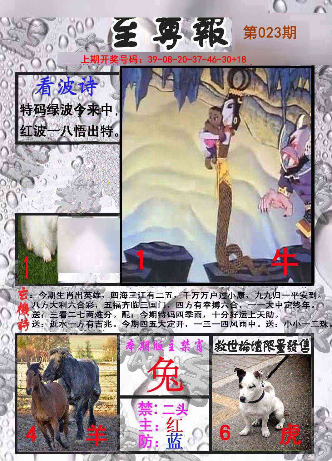 023期至尊报[图]