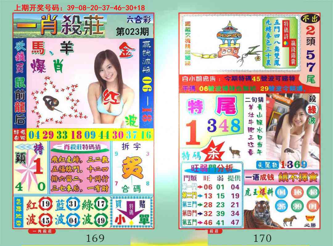 023期一夜富[图]