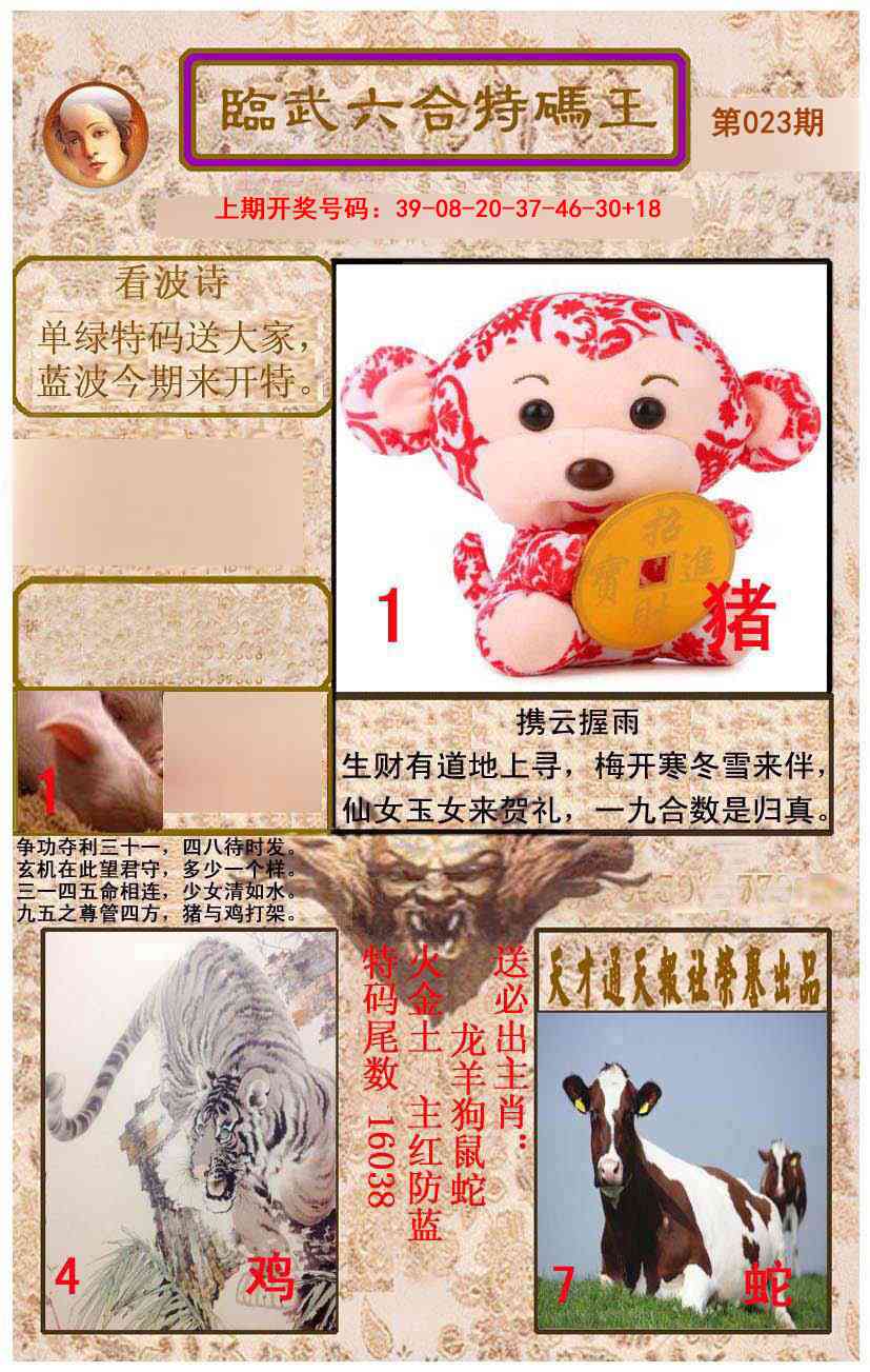 023期临武六合特码王[图]
