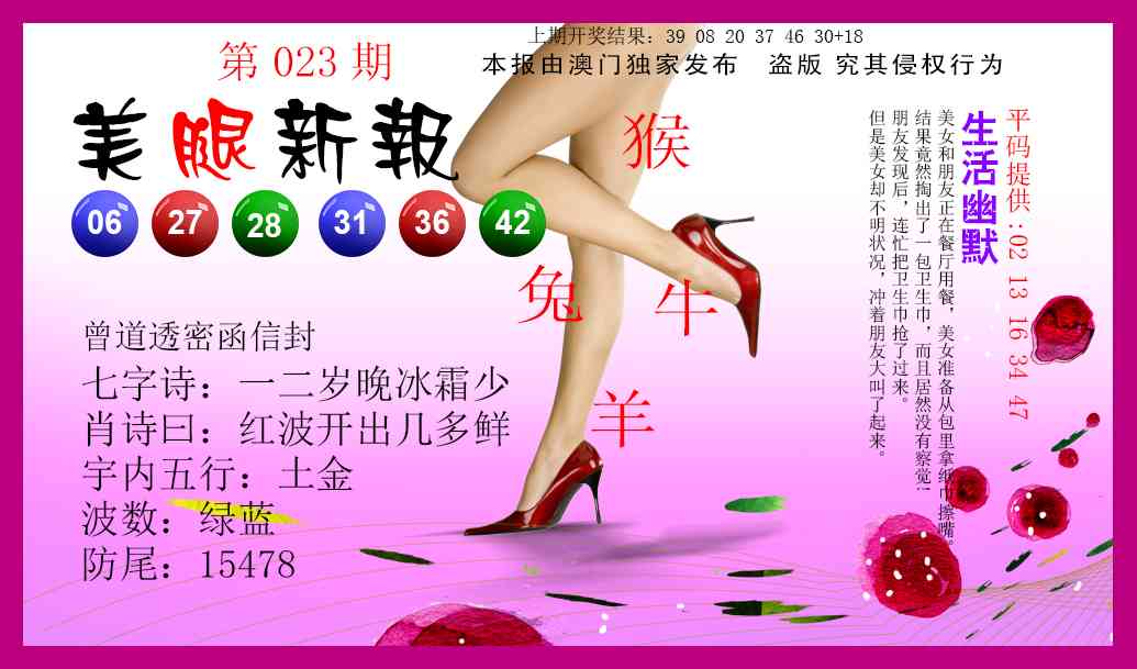 023期美腿新报[图]