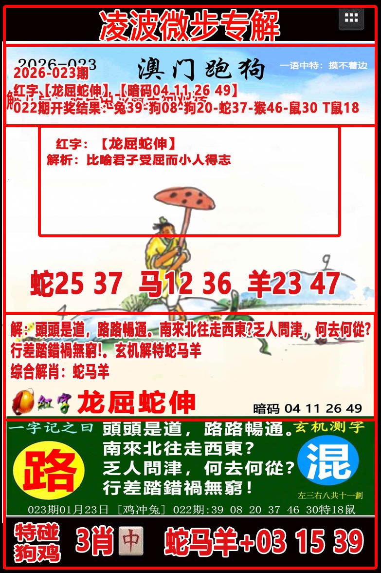 023期凌波微步[图]